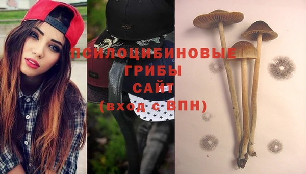 таблы Каменск-Шахтинский