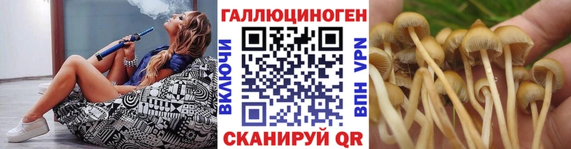 Галлюциногенные грибы Cubensis  Купить закладки  Карачаевск 