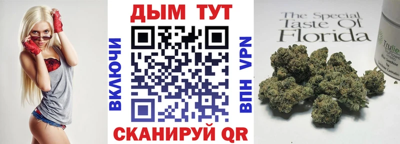 Конопля индика  Купить закладки  Карачаевск 